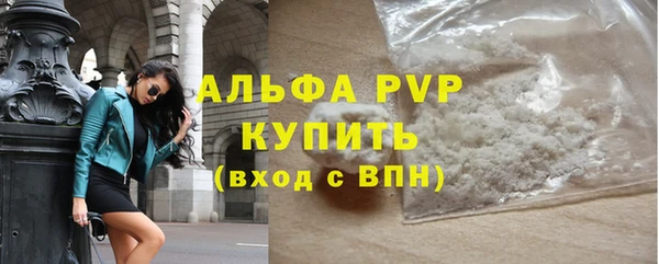 ешки Белокуриха