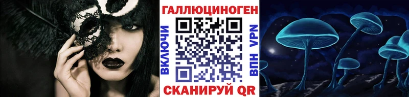 ОМГ ОМГ как войти  Катайск  Галлюциногенные грибы ЛСД 